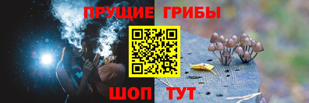 купить наркоту  Псилоцибиновые грибы Psilocybe  Вход с VPN  Псилоцибиновые грибы Psilocybine cubensis  Орёл 