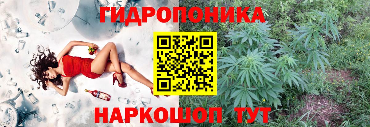 Марихуана конопля Орёл